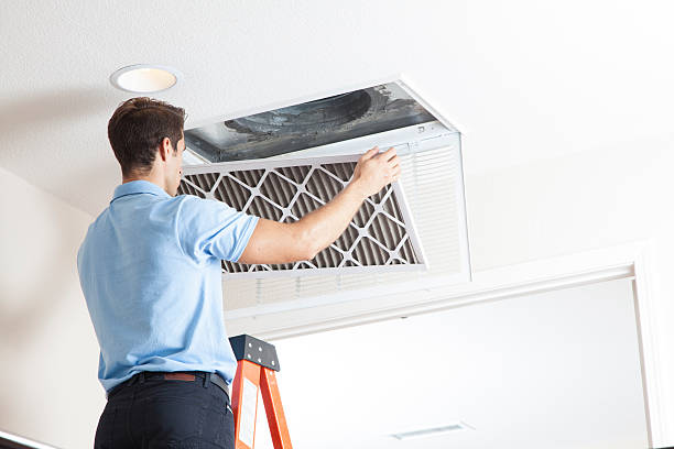 Best Air Filters and Purifiers in Vaughn, WA